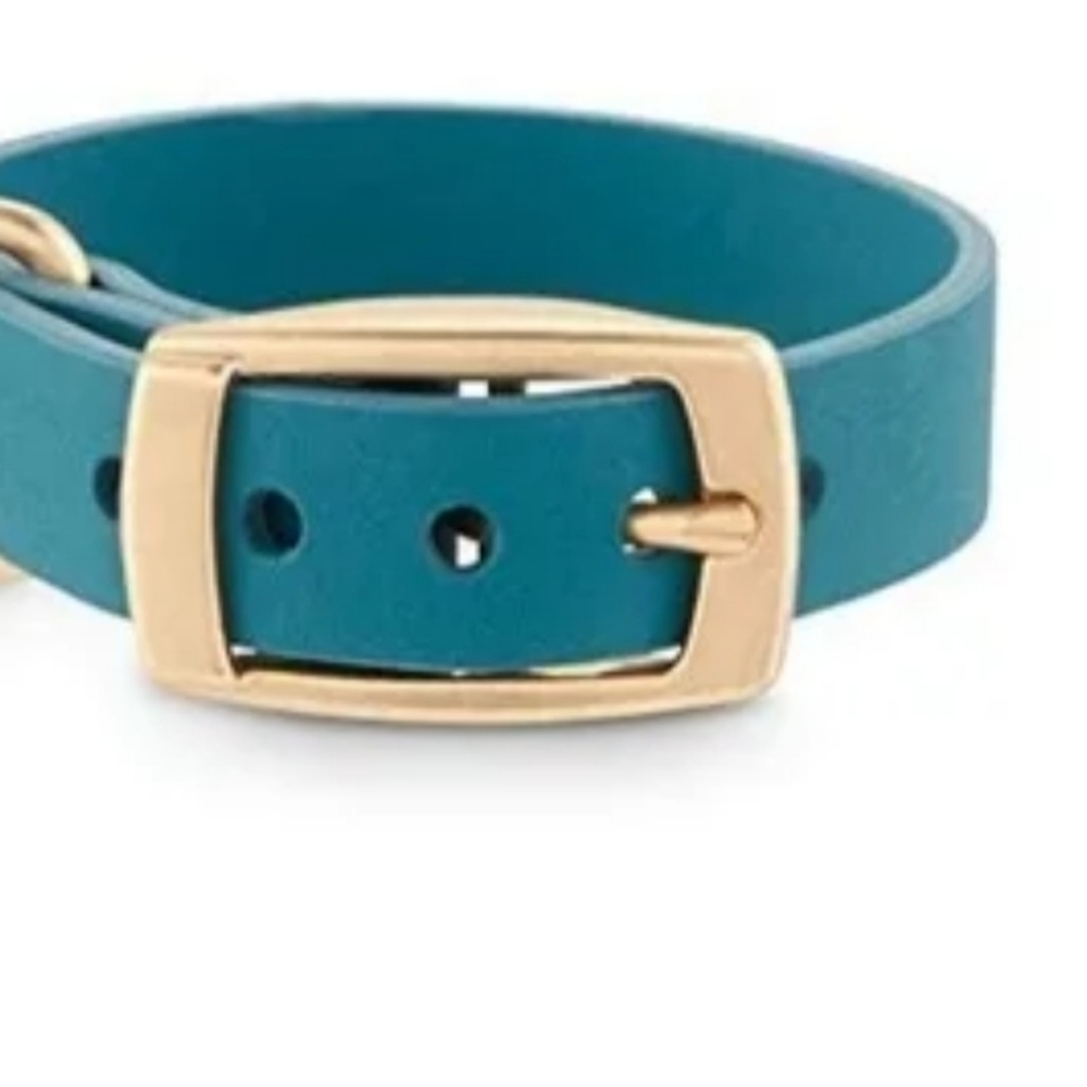 Dog collars